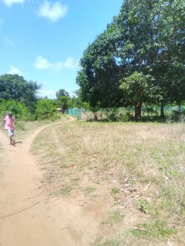 Land in Kilifi-Basi