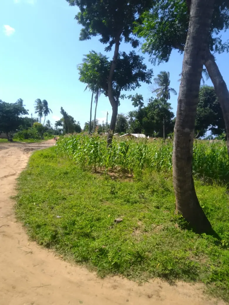 Land in Kilifi - Mikingirini