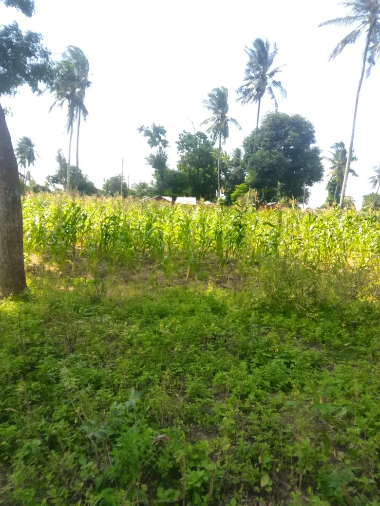 Land in Kilifi - Mikingirini
