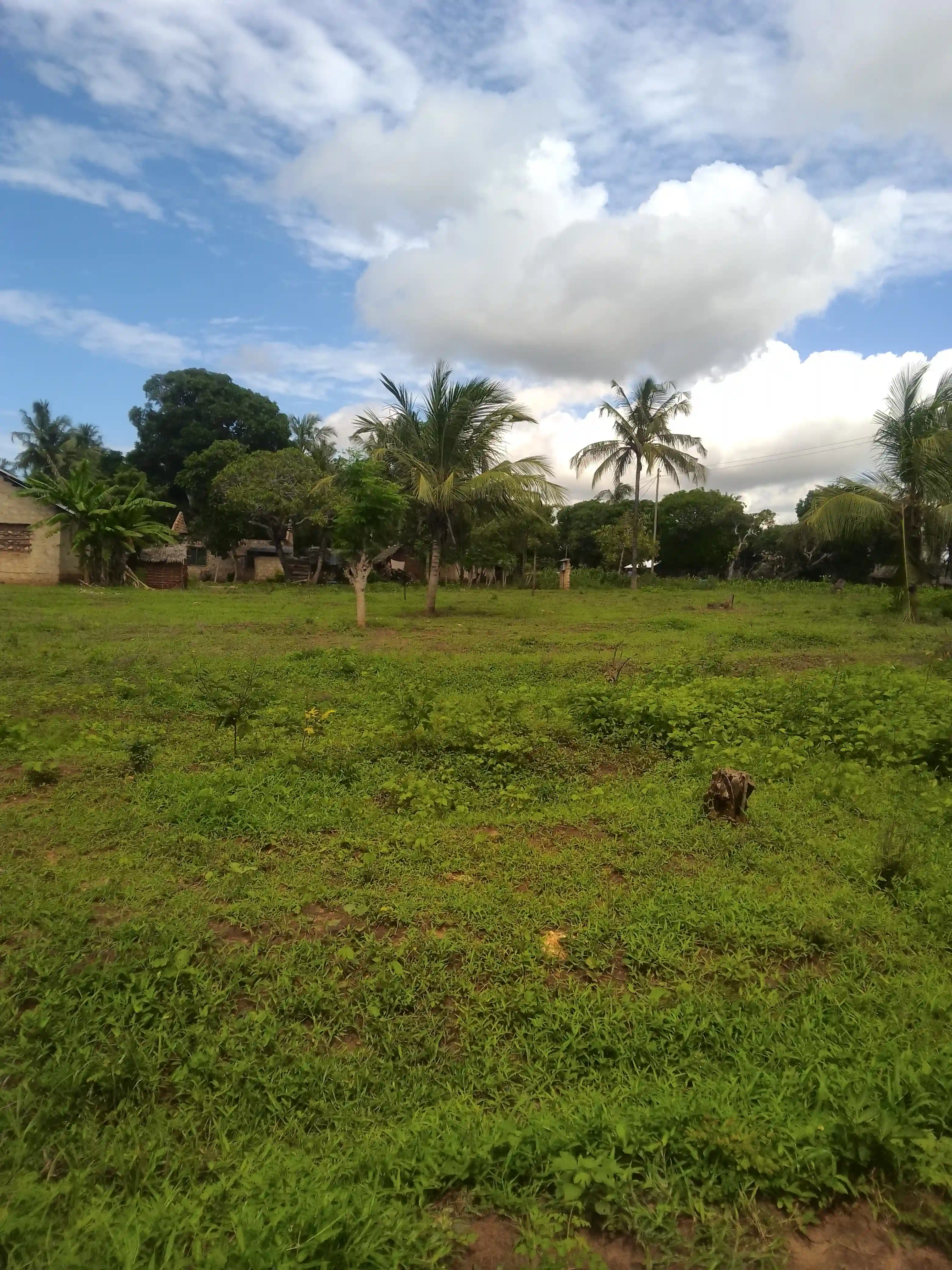 Land in Kilifi - Tezo